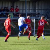Bild_(6_von_97).jpg