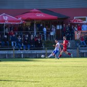 Bild_(85_von_97).jpg