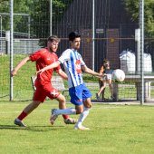 Bild_(7_von_83).jpg