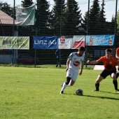 Bild_(79_von_209).jpg