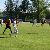 Bild_(110_von_209).jpg