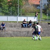 Bild_(43_von_158).jpg