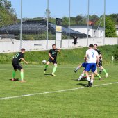 Bild_(104_von_158).jpg