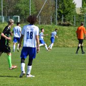 Bild_(111_von_158).jpg