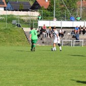 Bild_(59_von_145).jpg