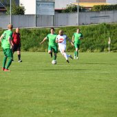 Bild_(95_von_145).jpg