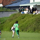 Bild_(118_von_145).jpg