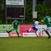 Bild_(48_von_213)_2.jpg