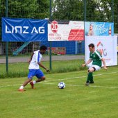 Bild_(84_von_213)_2.jpg