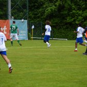 Bild_(131_von_213)_2.jpg