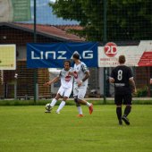 Bild_(203_von_280).jpg