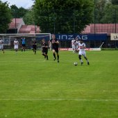 Bild_(206_von_280).jpg