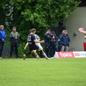 Bild_(217_von_280).jpg