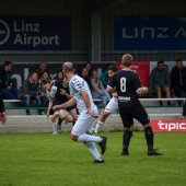 Bild_(248_von_280).jpg
