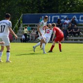Bild_(20_von_203).jpg