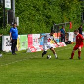 Bild_(64_von_203).jpg