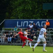 Bild_(74_von_203).jpg