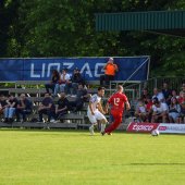 Bild_(91_von_203).jpg