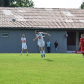 Bild_(130_von_203).jpg