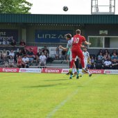 Bild_(140_von_203).jpg