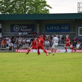 Bild_(153_von_203).jpg