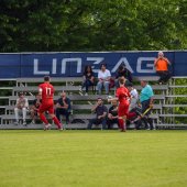 Bild_(190_von_203).jpg