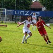 Bild_(196_von_203).jpg