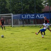 Bild_(40_von_127).jpg