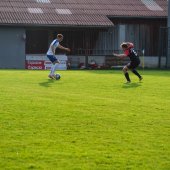 Bild_(51_von_127).jpg