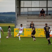 Bild_(42_von_165)_3.jpg