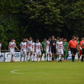 Bild_(1_von_184)_2.jpg
