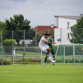 Bild_(37_von_184)_2.jpg