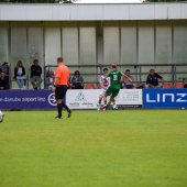 Bild_(84_von_184)_2.jpg