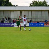 Bild_(85_von_184)_2.jpg
