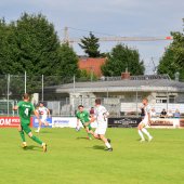 Bild_(97_von_184)_2.jpg