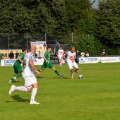 Bild_(101_von_184)_2.jpg
