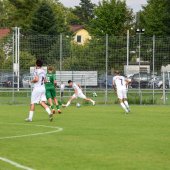 Bild_(105_von_184)_2.jpg