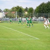 Bild_(112_von_184)_2.jpg