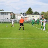 Bild_(113_von_184)_2.jpg