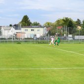 Bild_(134_von_184)_2.jpg