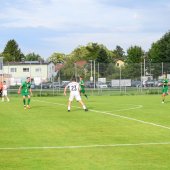 Bild_(135_von_184)_2.jpg