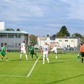 Bild_(138_von_184)_2.jpg