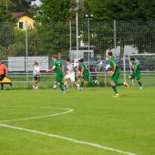 Bild_(146_von_184)_2.jpg