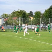 Bild_(147_von_184)_2.jpg