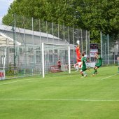 Bild_(151_von_184)_2.jpg