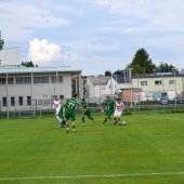Bild_(159_von_184)_2.jpg
