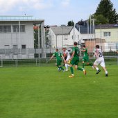 Bild_(164_von_184)_2.jpg