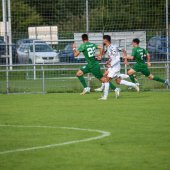 Bild_(177_von_184)_2.jpg