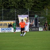 Bild_(181_von_184)_2.jpg