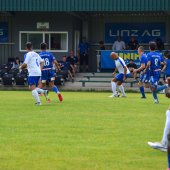 Bild_(10_von_110).jpg